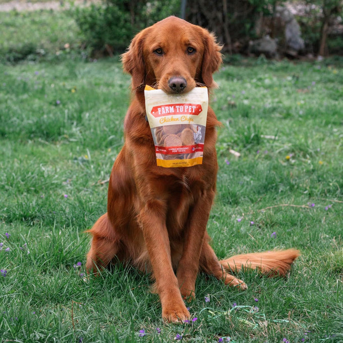Farm To Pet Single Ingredient Chicken Dog Training Treats 4 oz Lean All Natural Healthy Made in USA