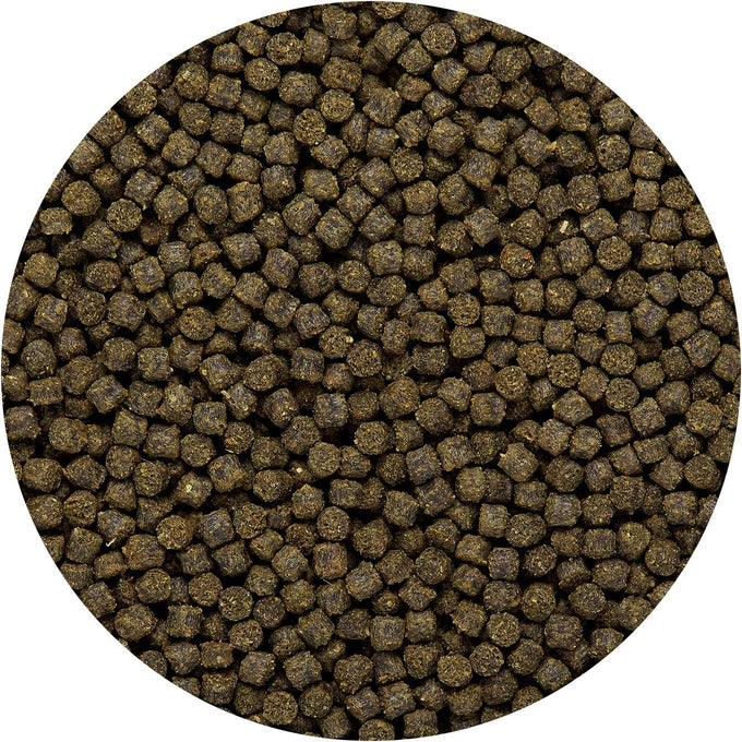 hikari sinking goldfish excel fish food 3.8 oz 110g premium aquarium pellets for vibrant color development