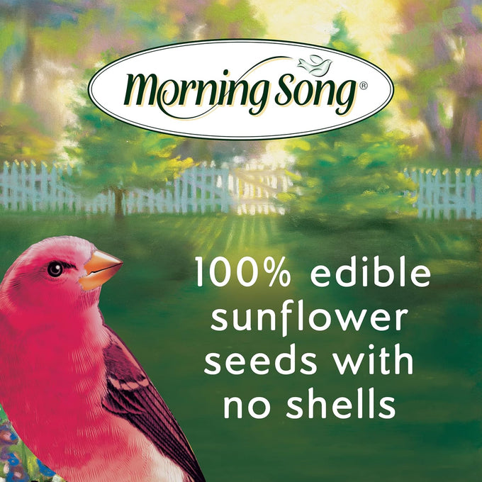 Morning Song 5.5-Pound Bag Sunflower Hearts & Chips Wild Bird Food, No Mess Sunflower Seeds for Birds