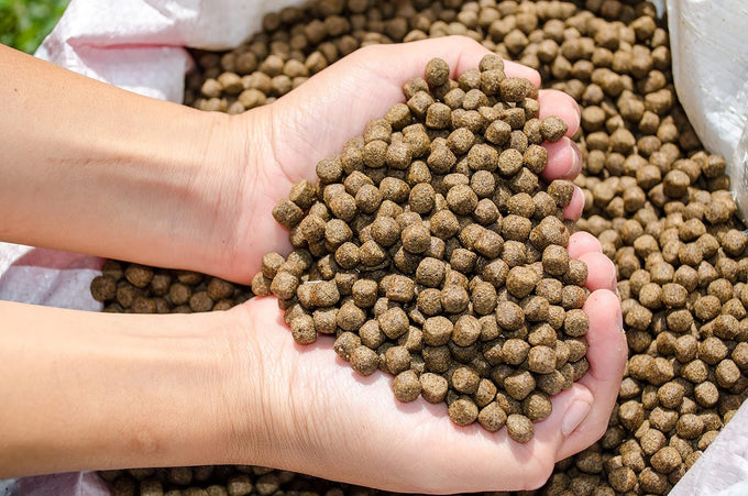 Premium floating pellets for pond and lake fish, 2 pounds, complete nutrition