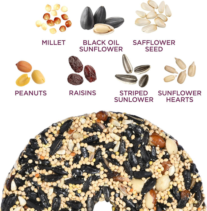 audubon park nut & fruit snack stack bird food, 6-pack, individual seed cakes for backyard birders