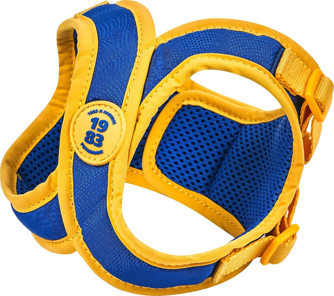 Pethroom Comfort-X Dog Harness 2.0 for Small Dogs, Soft Vest, No Choke, Easy On/Off with One-Touch Buckle