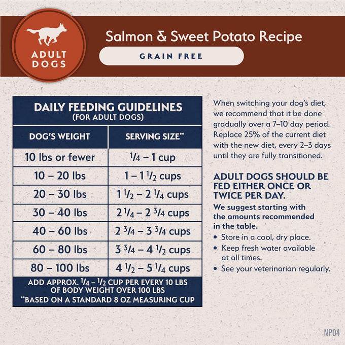 Natural Balance Limited Ingredient Grain-Free Salmon Dog Food