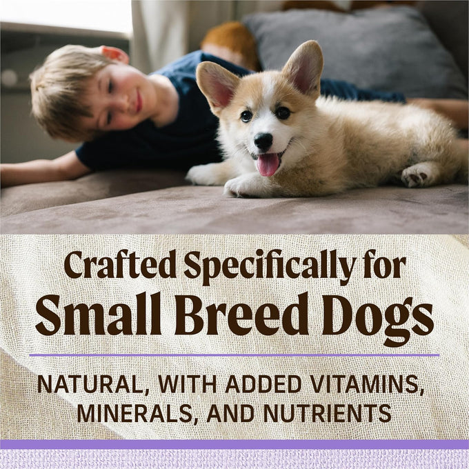 Merrick Lil' Plates Grain-Free Chicken & Sweet Potato Puppy Food, 4 lb