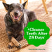 Greenies Dog Treats Veterinarian-Recommended Natural Dental Treats for Dogs, Teenie Size, Variety Pack Flavor, (3) 12 oz. Packs, 130 Count