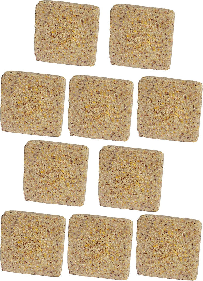 st albans bay suet plus 10 pack variety high energy wild bird suet cakes 11 oz easy-open