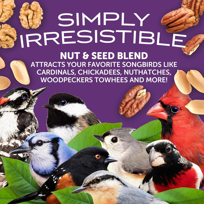 Pennington Ultra Double Nut and Fruit Bird Seed 10lbs, Year-Round Nutritious Blend