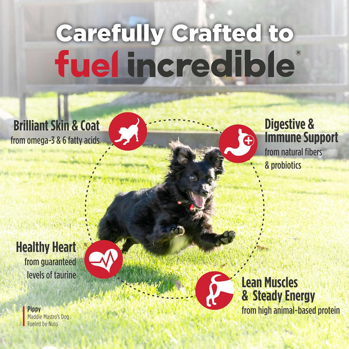 Nulo FreeStyle Small Breed Dog Food Dry - Salmon & Lentils, High Protein, Grain Free, 6lb Bag for Small Dogs