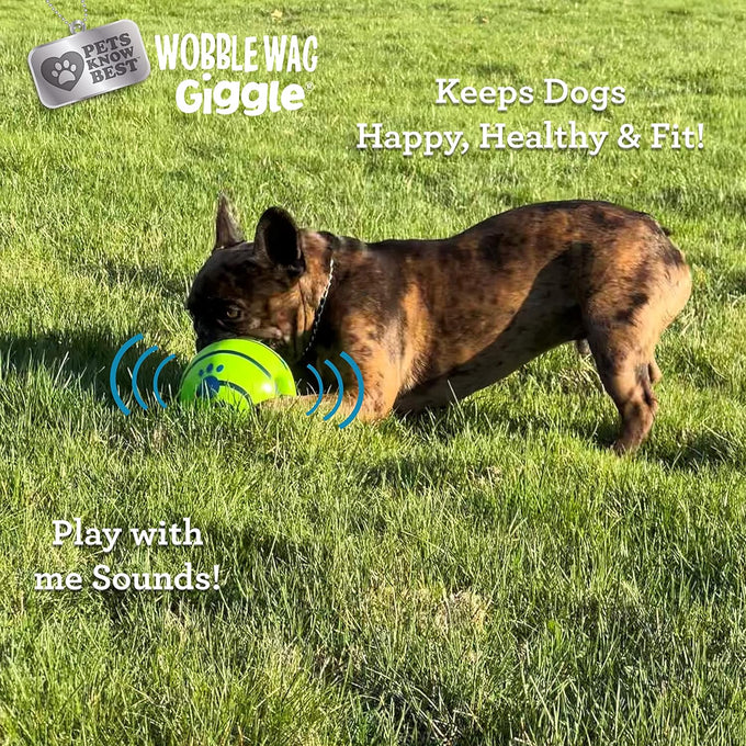 Pets Know Best Wobble Wag Giggle Ball 5.5" Interactive Dog Toy with Giggle Sounds