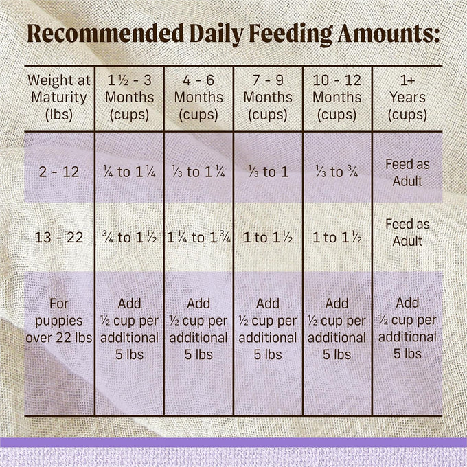 Merrick Lil' Plates Grain-Free Chicken & Sweet Potato Puppy Food, 4 lb
