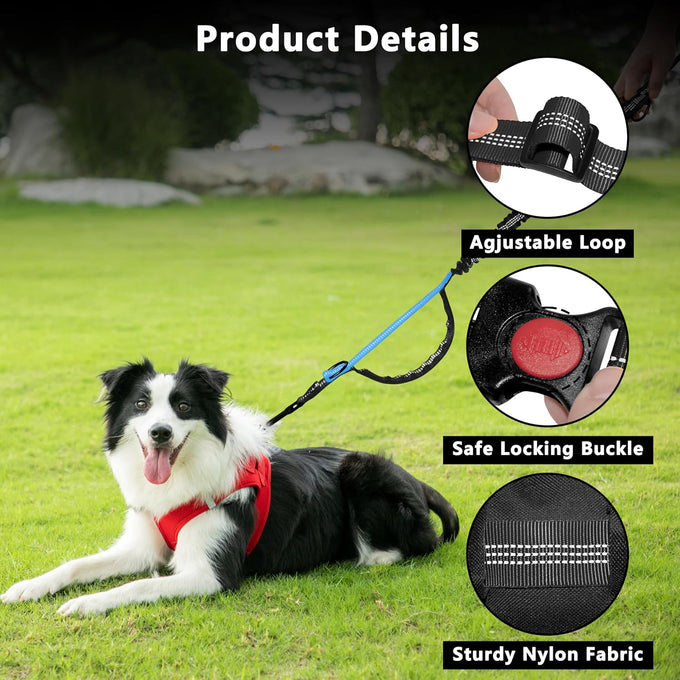 Lievuiken Hands Free Dog Leash with Zipper Pouch for Large Dogs, Adjustable Waist Belt, Black