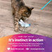 SmartyKat Frisky Flyer Extendable Cat Toy, Blue, One Size, 24" Reach