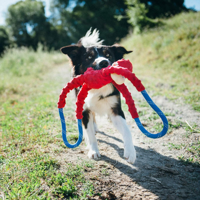 ZippyPaws Red Monkey RopeTugz Durable Dog Pull Rope Toy for Large Medium Small Dogs Squeaky Interactive