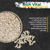 Old Potters Non-GMO Safflower Seed for Wildlife Bird Feeding, USA Small Farm Grown, 6 lbs, 8 lb bag