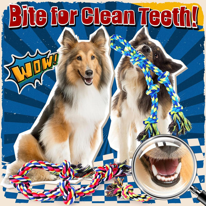 Forfon Tough & Strong rope toys for large aggressive chewers with 3 rope toys & 2 dog bags