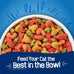 Purina Friskies dry cat food seafood sensations with salmon tuna shrimp flavors 22 lb bag