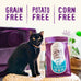 Stella & Chewy's Raw Coated Cat Food - High Protein, Grain-Free Kibble with Cage-Free Chicken - Premium Digestive Support with Probiotics - Natural Small Kibble - Perfect For Picky Eaters - 10 lb Bag