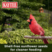 Kaytee Wild Bird No Mess or Waste Free Seed Blend for Blue Jays Woodpeckers and More 10 Pound