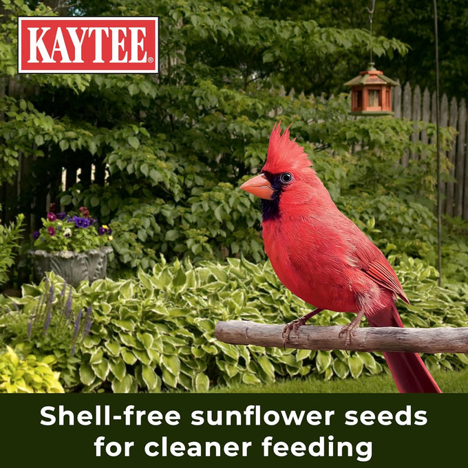 Kaytee Wild Bird No Mess or Waste Free Seed Blend for Blue Jays Woodpeckers and More 10 Pound