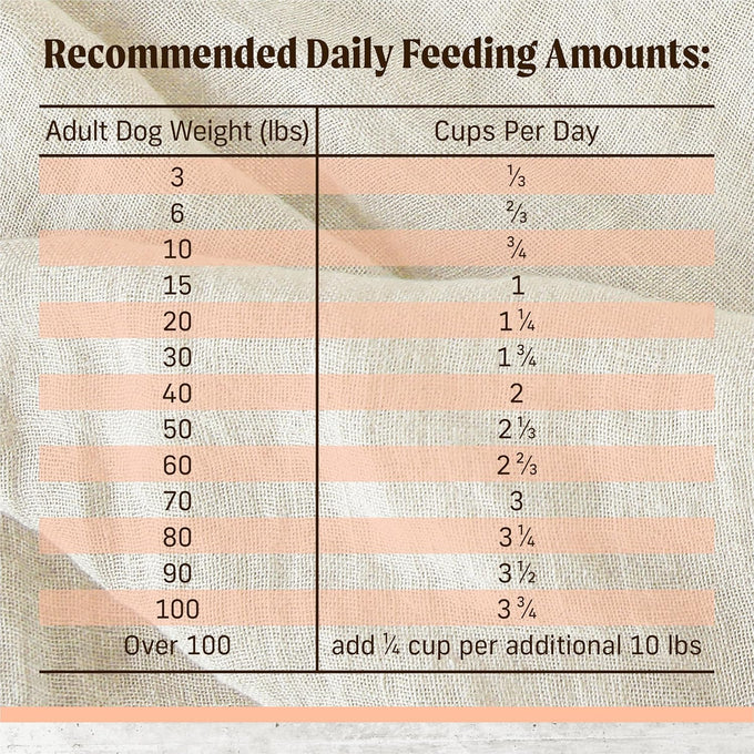 Merrick Limited Ingredient Diet Premium And Natural Kibble With Healthy Grains, Salmon And Brown Rice Dog Food - 22.0 lb. Bag