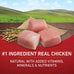 Purina ONE Chicken & Rice Dry Dog Food - 40 lb Bag