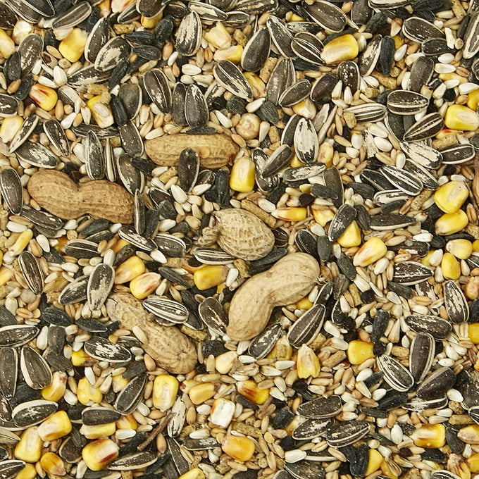 Kaytee Supreme Pet Parrot Food, 20 lb, Natural Seeds and Grains, Veterinarian Recommended