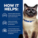 Hill's Prescription Diet z/d Skin/Food Sensitivities Dry Cat Food, Hydrolyzed Chicken, 4 lb. Bag