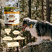 Smart Cookie All Natural Dog Treats - Rabbit & Pumpkin - Training Treats for Dogs & Puppies with Allergies