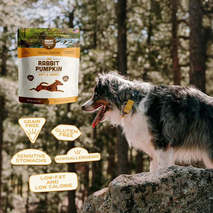 Smart Cookie All Natural Dog Treats - Rabbit & Pumpkin - Training Treats for Dogs & Puppies with Allergies