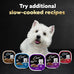 Cesar Wet Dog Food Variety Pack, Breakfast & Dinner Flavors, 3.5 oz Trays