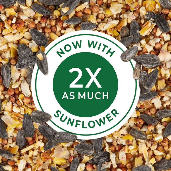 Kaytee 5 lb Wild Bird Food Basic Seed Blend, America's Everyday Favorite, Attracts Cardinals, Sparrows, and More