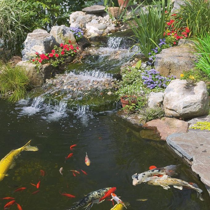 TetraPond Spring And Fall Diet 7.05 Ounces floating fish food for goldfish and koi