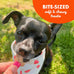 Buddy Softies 8 oz Bag of Soft & Chewy Dog Treats, Peanut Butter Flavor, Made in USA with Whole Grain Ingredients