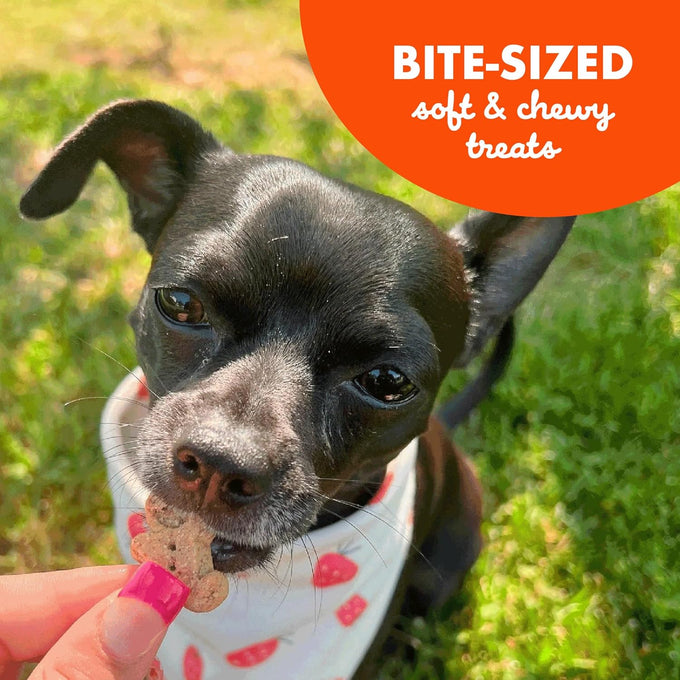 Buddy Softies 8 oz Bag of Soft & Chewy Dog Treats, Peanut Butter Flavor, Made in USA with Whole Grain Ingredients