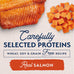 Natural Balance Grain-Free Sweet Potato & Salmon Wet Dog Food