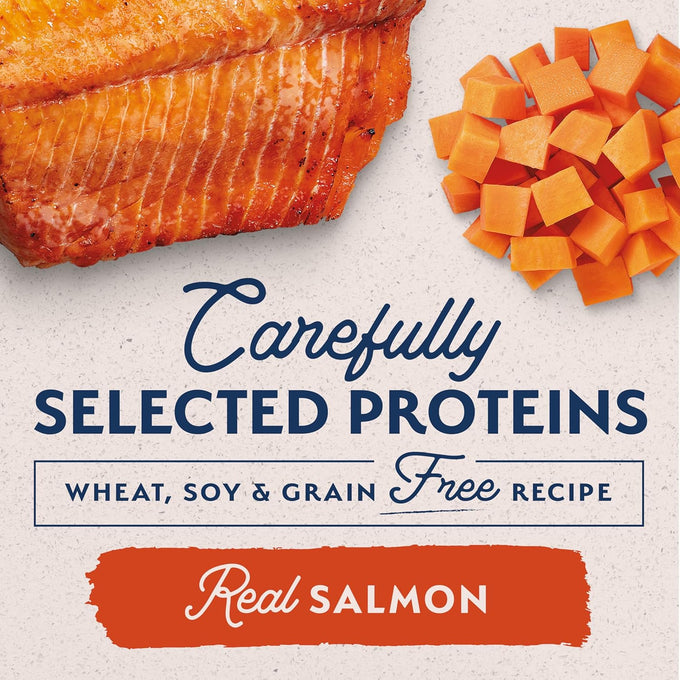 Natural Balance Grain-Free Sweet Potato & Salmon Wet Dog Food