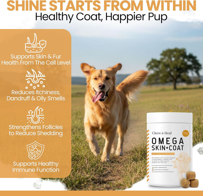Salmon Oil Omega 3 Fish Oil for Dogs - 180 Soft Chews for Itch Relief, Shedding, Hot Spots, Skin & Coat