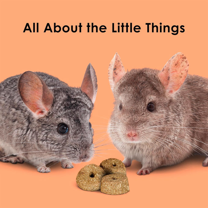 Kaytee super c bites treats for guinea pigs adult rabbits chinchillas cranberry orange 4oz