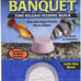 Zoo Med Original Banquet Feeding Block for Bottom Feeders, 0.45-Ounce Size, Made in USA