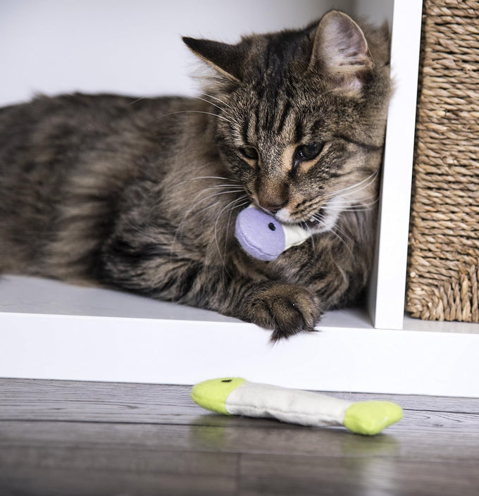 SmartyKat multi-color 3-count Fish Flop crinkle catnip cat toys for solo or interactive play