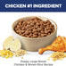 Hill's Science Diet Large Breed Puppy Dry Dog Food, 27.5 lb