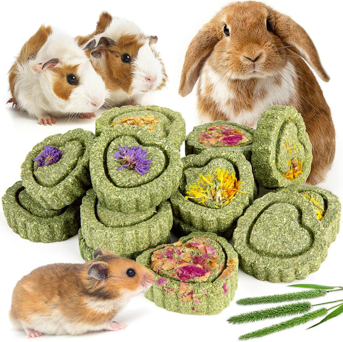 Sofier handmade 12pcs timothy hay treats natural chews for rabbit guinea pig hamster chinchilla rat gerbil