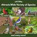 Freebird Wild Bird Seed for Outside Feeders - Premium Songbird Blend for Cardinals, Finches, and Colorful Birds - 5lb Bag