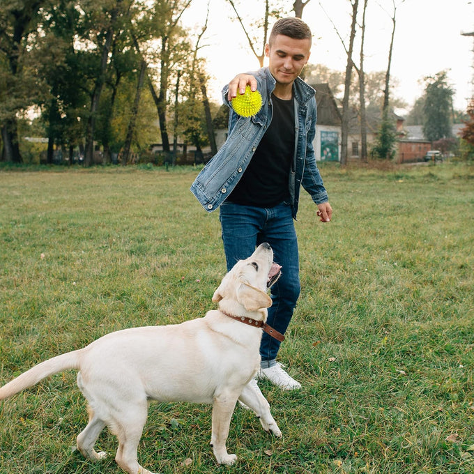 vitever 3.5" squeaky dog toy balls in 6 colors, bpa free, non-toxic for medium, large & small dogs