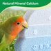 2-pack Bird Beak Grinding Stone Parrot Perch for Cage Accessories