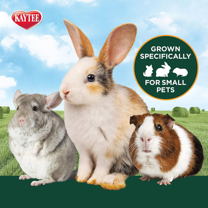 Kaytee Supreme Grade Alfalfa Hay for Small Animals, 24-Oz Bag, High Protein, Non-GMO, US #1 Brand