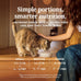 New Zealand made feline dry cat food with 98% high protein meat, organs, & seafood, grain-free, no artificial additives, beef, 11oz