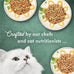 Purina Fancy Feast Medleys Primavera Wet Cat Food Variety Pack, 2 Packs of 12, 3 oz. Cans, Artificial-Free