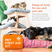 Arca Pet dog & cat first aid kit, vet-endorsed travel essentials with digital thermometer, muzzle, & mini first aid pouch