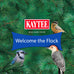 Kaytee shelled peanuts for cardinals, blue jays, and woodpeckers, 11 pounds, high-energy wild bird food